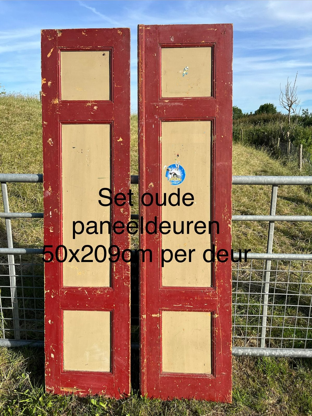 Oude paneeldeuren , Oude binnendeuren . Stomp,ruime keuze, Doe-het-zelf en Verbouw, Deuren en Horren, Gebruikt, Binnendeur, 200 tot 215 cm