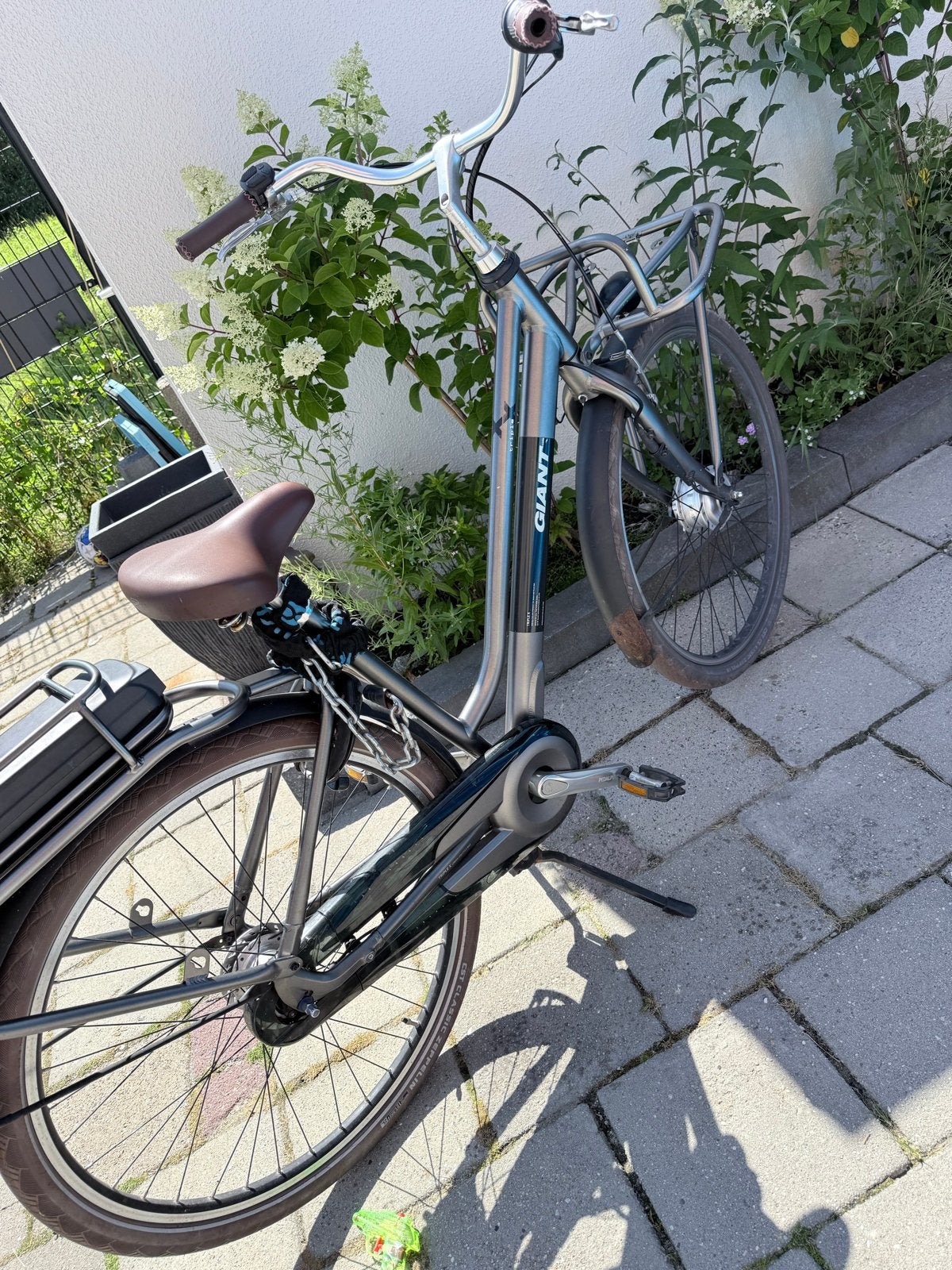Giant elektrische Damesfiets met voordrager en versnellingen, Ophalen, Velgrem, Versnellingen, Giant