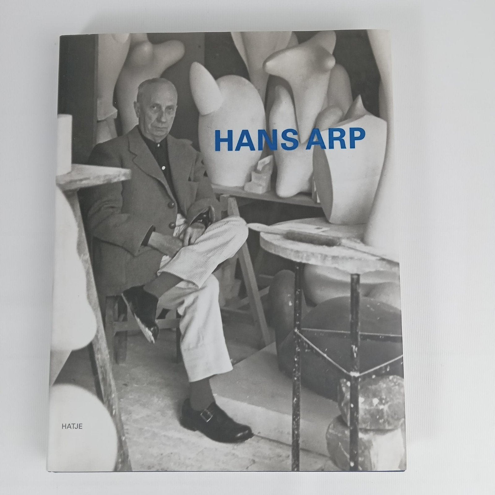 Hans Arp Kunstboek - Beeldhouwkunst en Dadaïsme, Ophalen of Verzenden, Gelezen