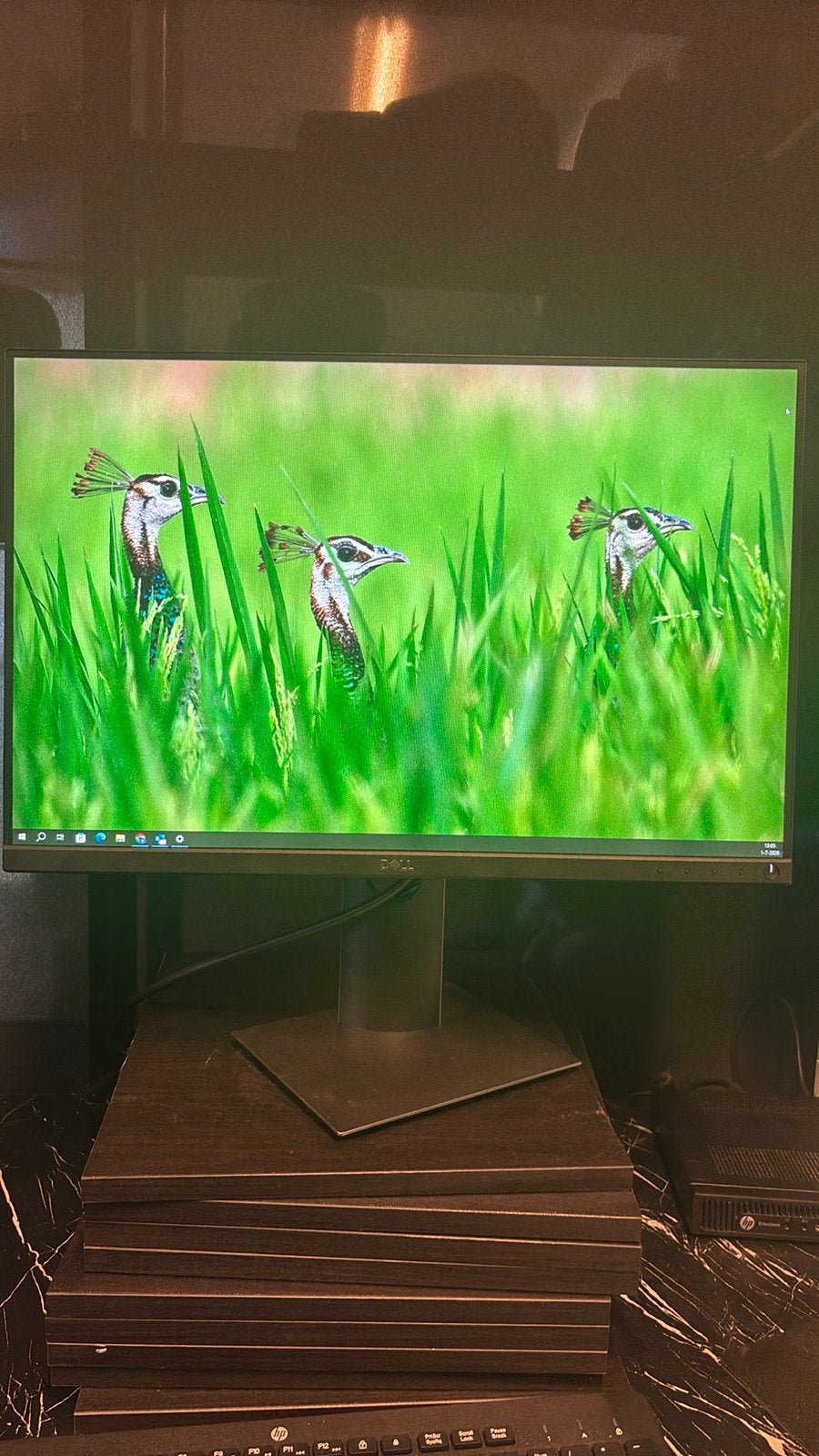 Dell P2421 Full HD monitor 24 inch - 2 stuks, Computers en Software, Monitoren, Ophalen, IPS, HDMI, Full HD