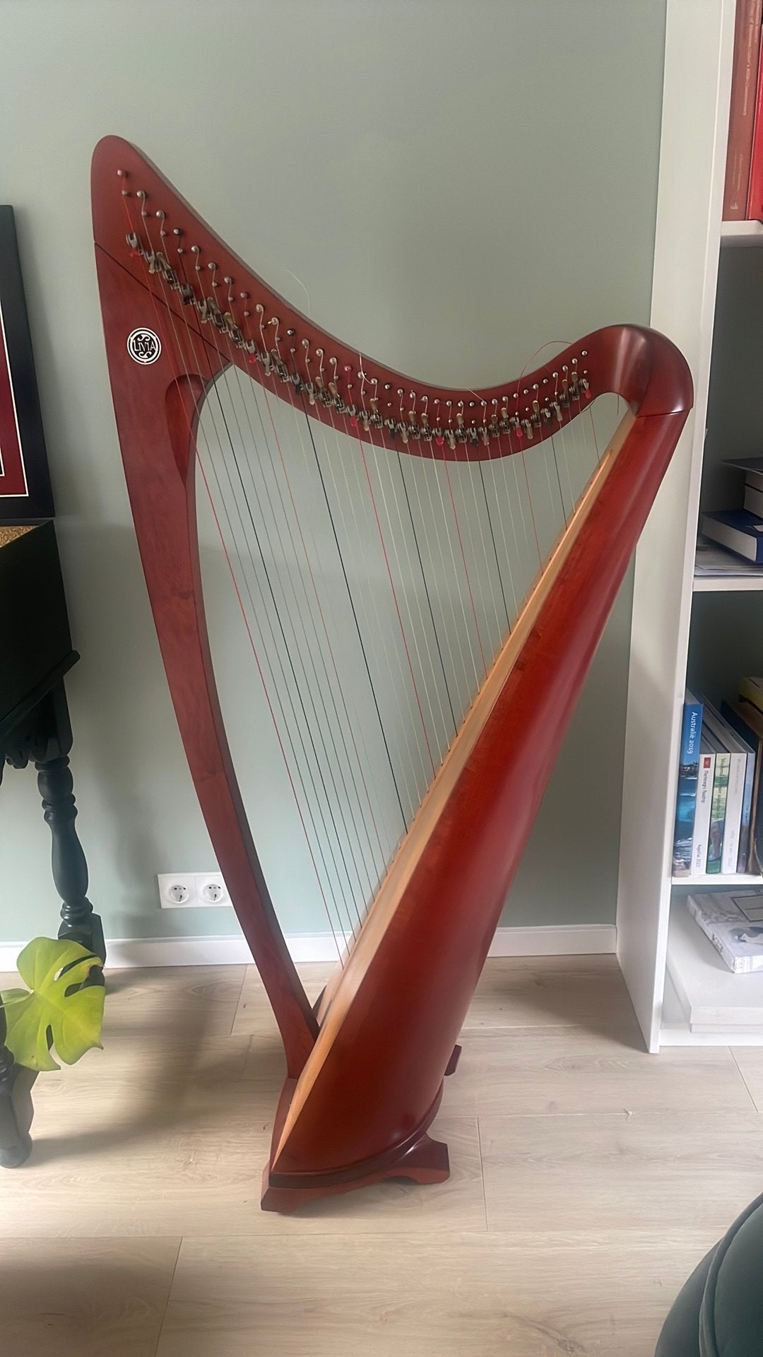 Salvi Livia harp - Zo goed als nieuw, Ophalen, Zo goed als nieuw