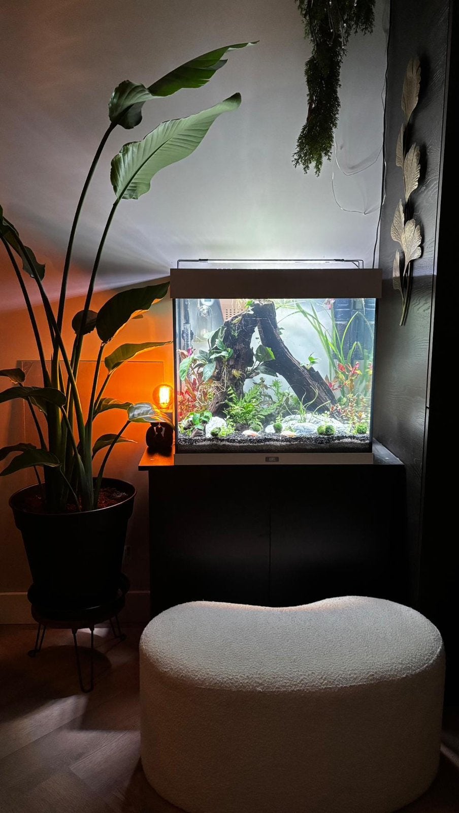 Juwel rio 120 met kast en toebehoren compleet, Dieren en Toebehoren, Vissen | Aquaria en Toebehoren, Ophalen, Gebruikt, Inclusief deksel