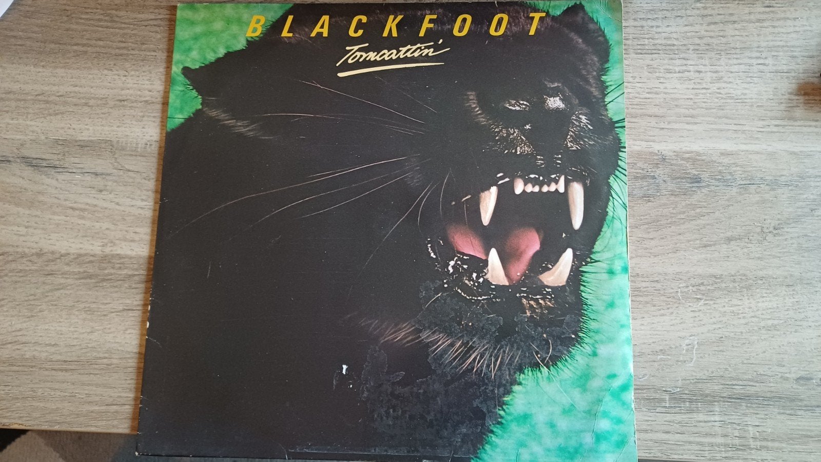 Blackfoot - Tomcattin, Ophalen, 1980 - 1989, Zo goed als nieuw, 12 inch