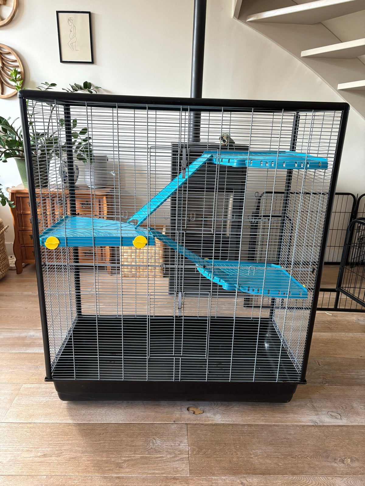 Rattenkooi 98 x 48 x 116 (L,B,H), Ophalen, Gebruikt