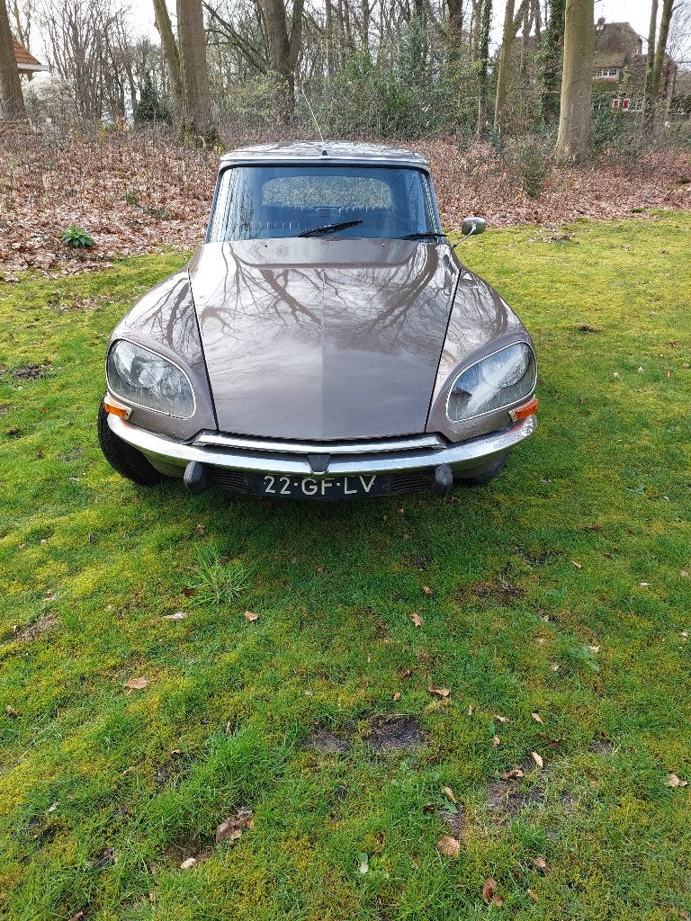 Citroën DS 1974 Bruin, 1250 kg, Bruin, DS, Bruin