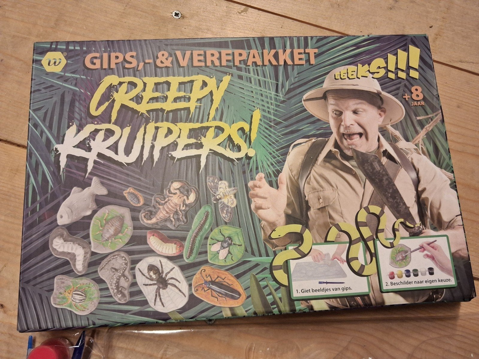 Creepy Kruipers! Gips- & Verfpakket - Maak je eigen insecten, Ophalen of Verzenden, Nieuw, Knutselen