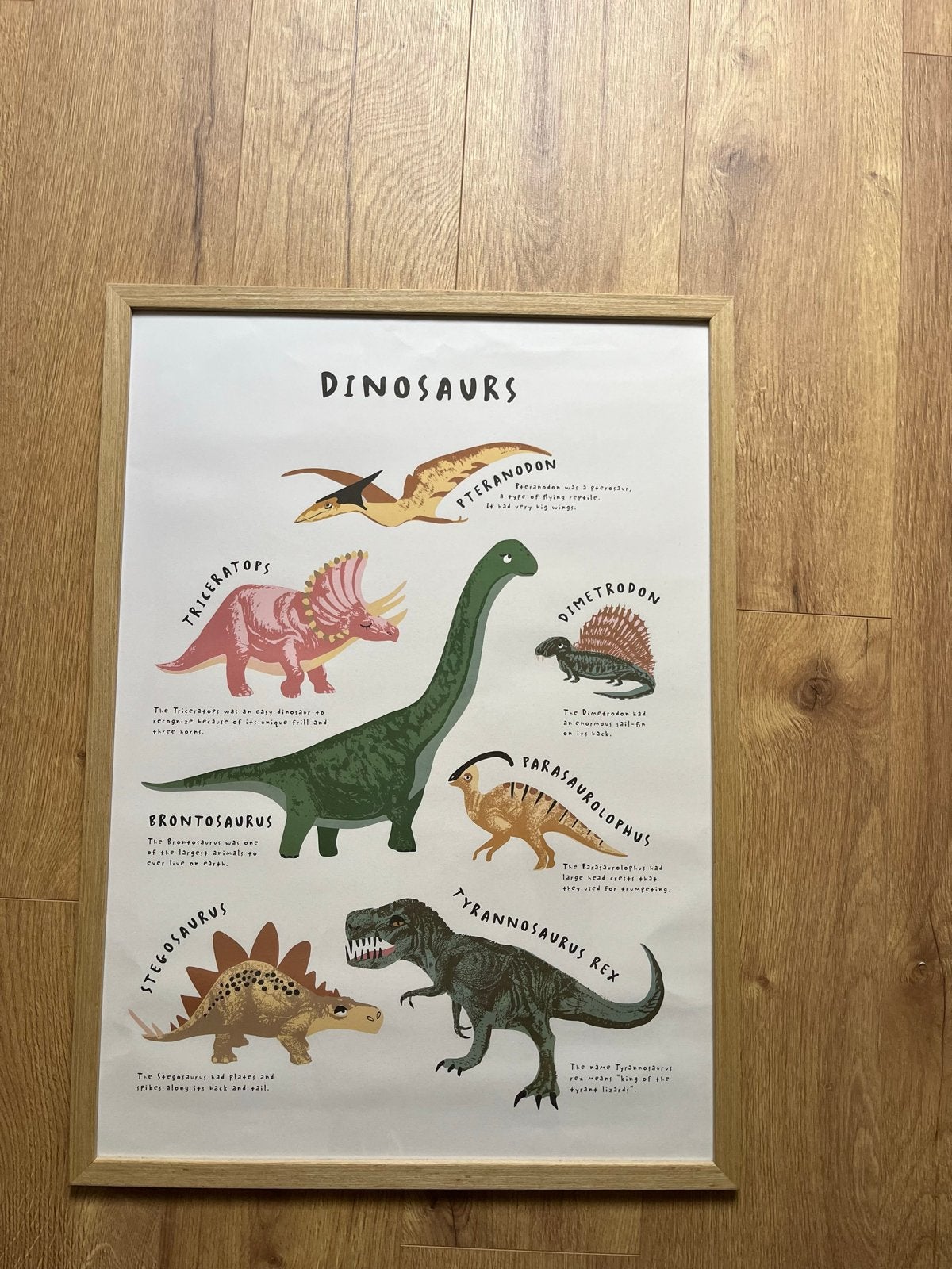 Dinosaurussen Poster met Houten Lijst, Ophalen, Zo goed als nieuw, Foto of Poster, 75 – 100