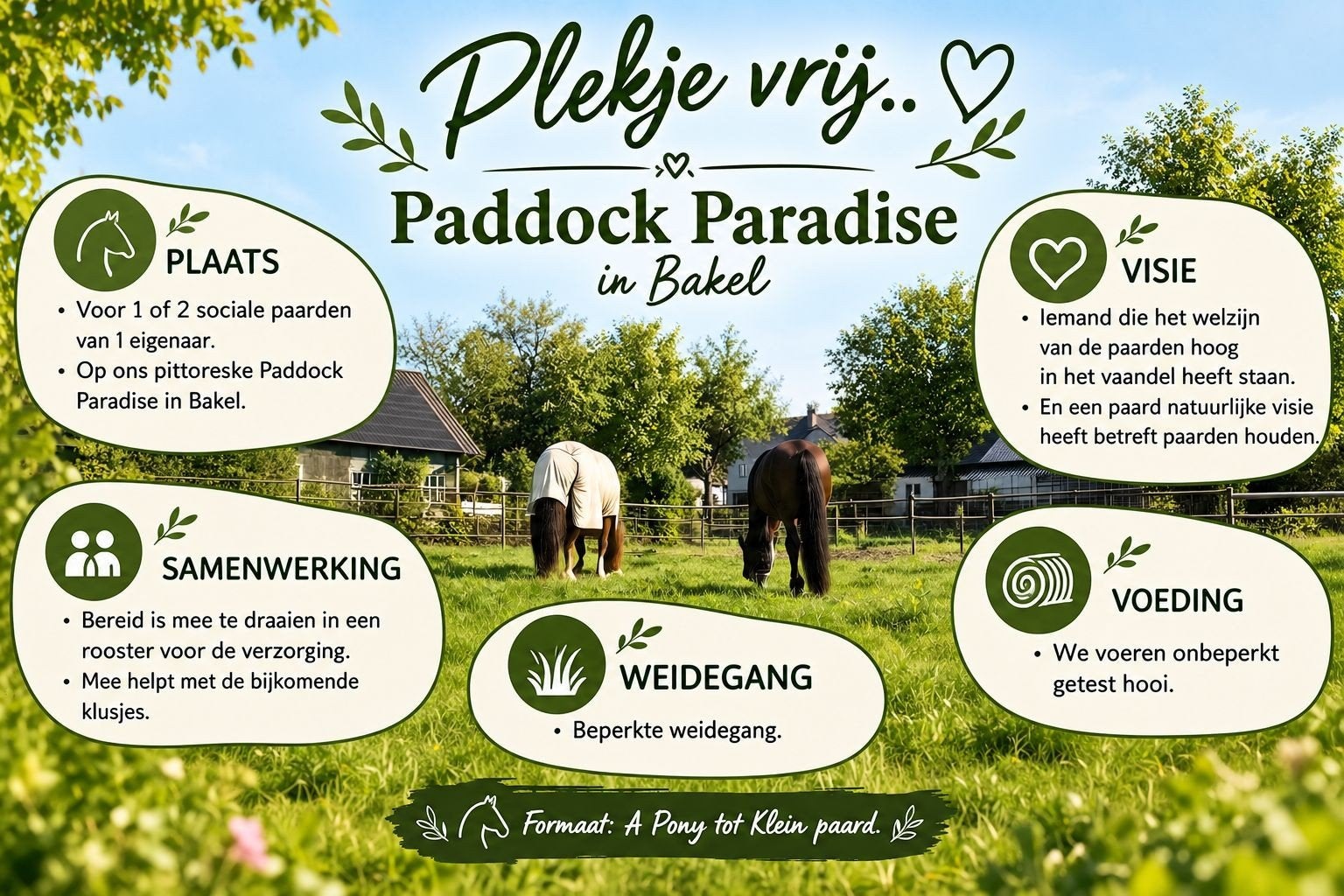 Paddock paradise Bakel, Weidegang