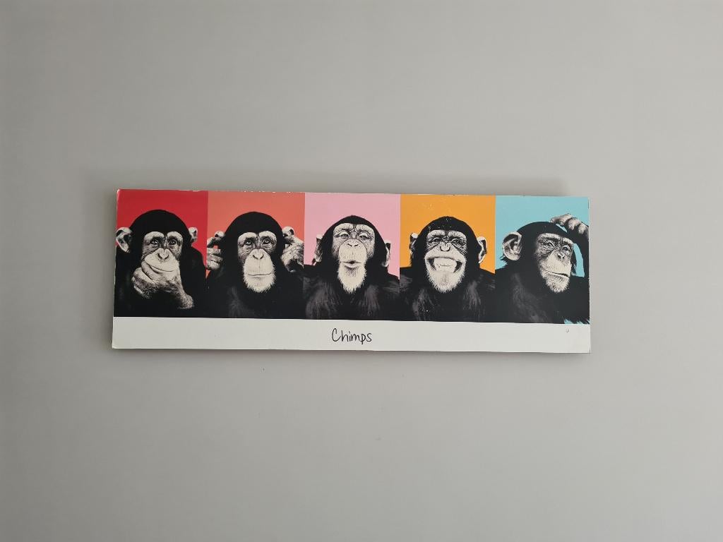 Chimps canvas schilderij apen, Ophalen of Verzenden, Gebruikt, 75 tot 100 cm, Overige typen