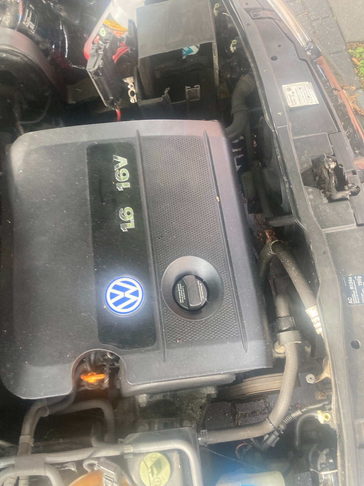VW Golf 4 1.6 16V Motorblok met Versnellingsbak, Ophalen, Gebruikt, Volkswagen