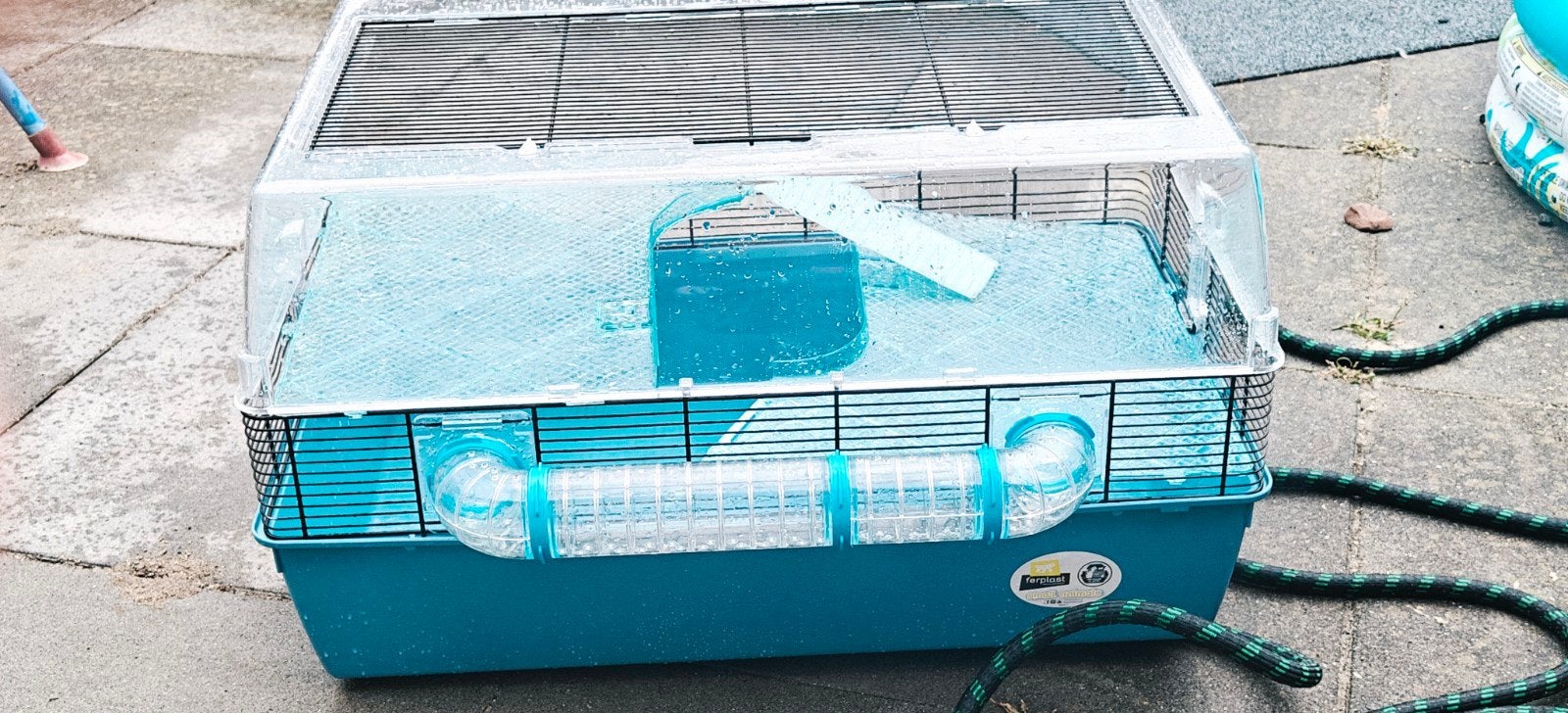 Ferplast Duna Fun grote hamsterkooi en accessoires, Dieren en Toebehoren, Knaagdieren en Konijnen | Hokken en Kooien, Kooi, Minder dan 75 cm