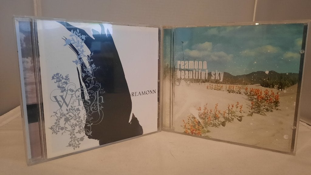 Partij van 2 Reamonn CD's Muziek Albums, Cd's en Dvd's, Ophalen of Verzenden, Gebruikt, Poprock