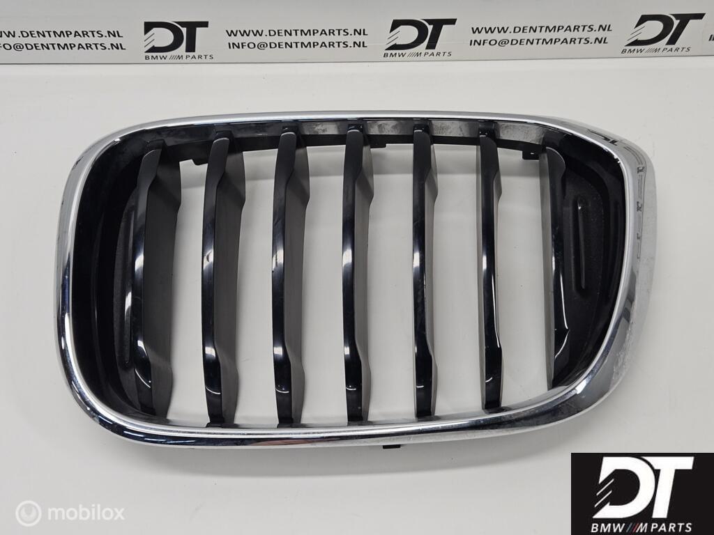 Grille links BMW X3 G01 X4 G02 51137440853, Gebruikt, Ophalen of Verzenden, BMW
