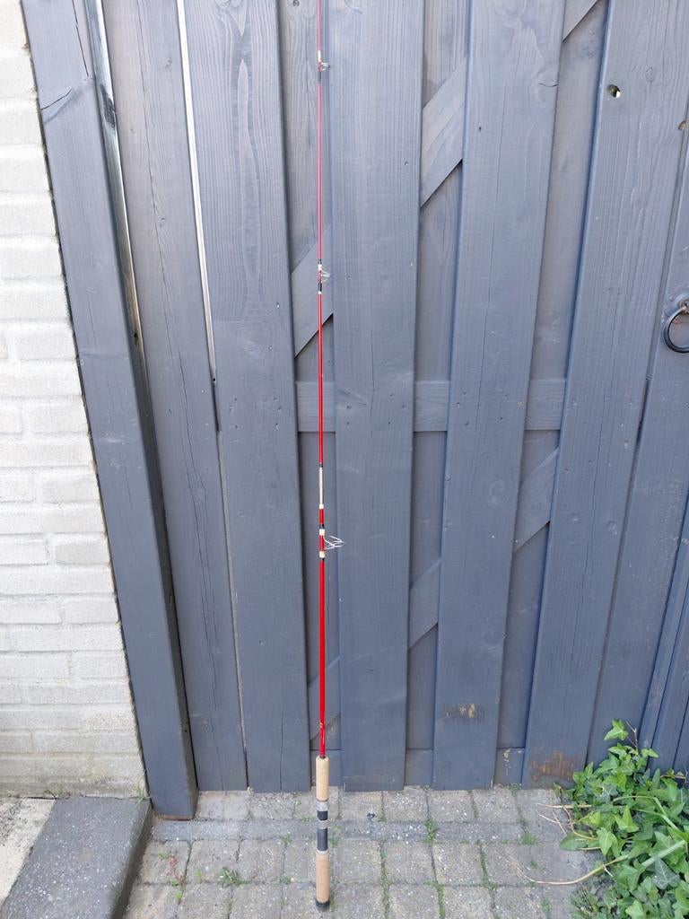 Diverse hengels: zeehengel, karperhengel (5 stuks), Watersport en Boten, Hengelsport | Karpervissen, Ophalen of Verzenden, Gebruikt