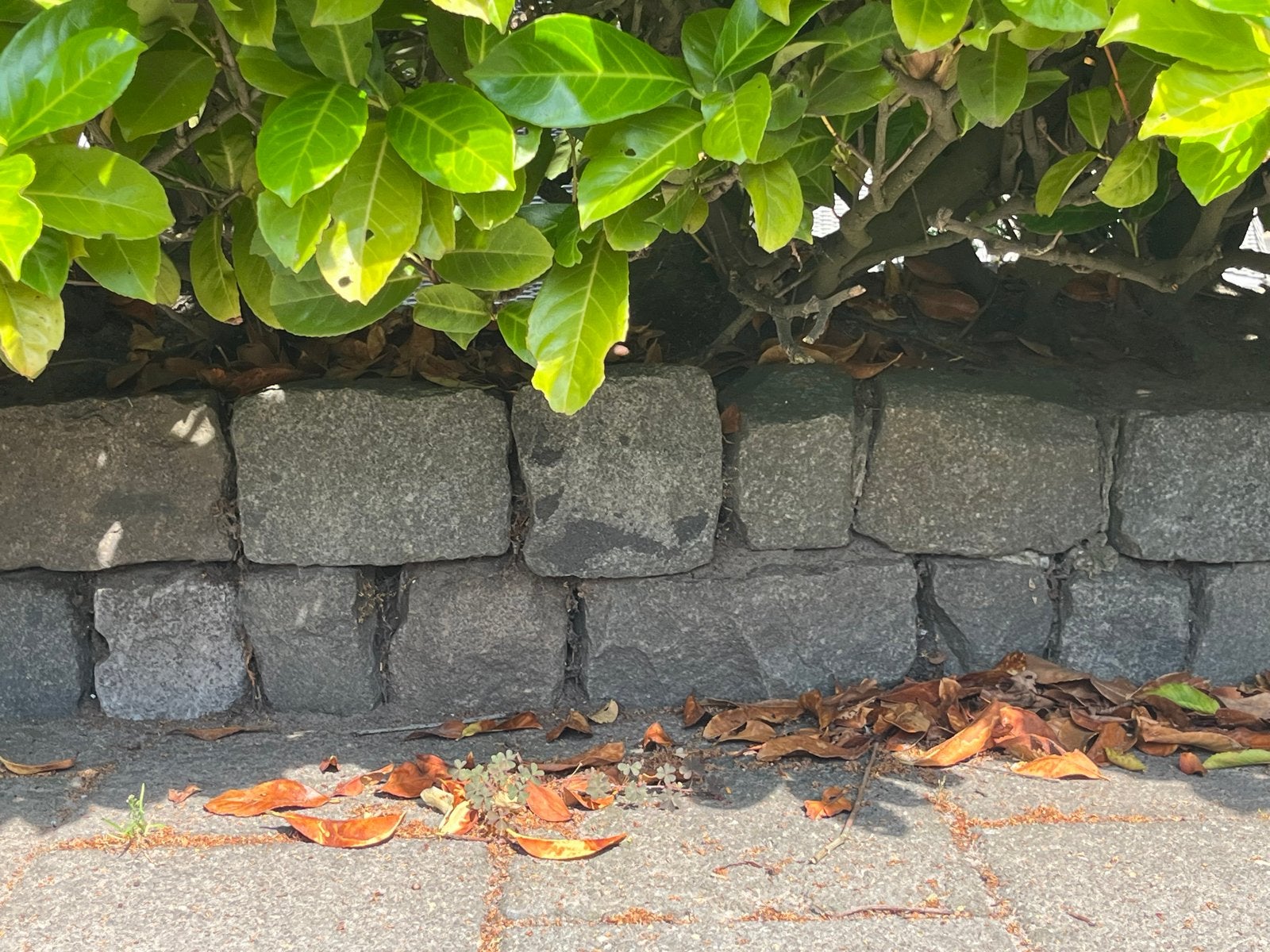 Gebruikte Basalt Keien (ong. 140 stuks), Tuin en Terras, Ophalen, Gebruikt, Kei, Basalt