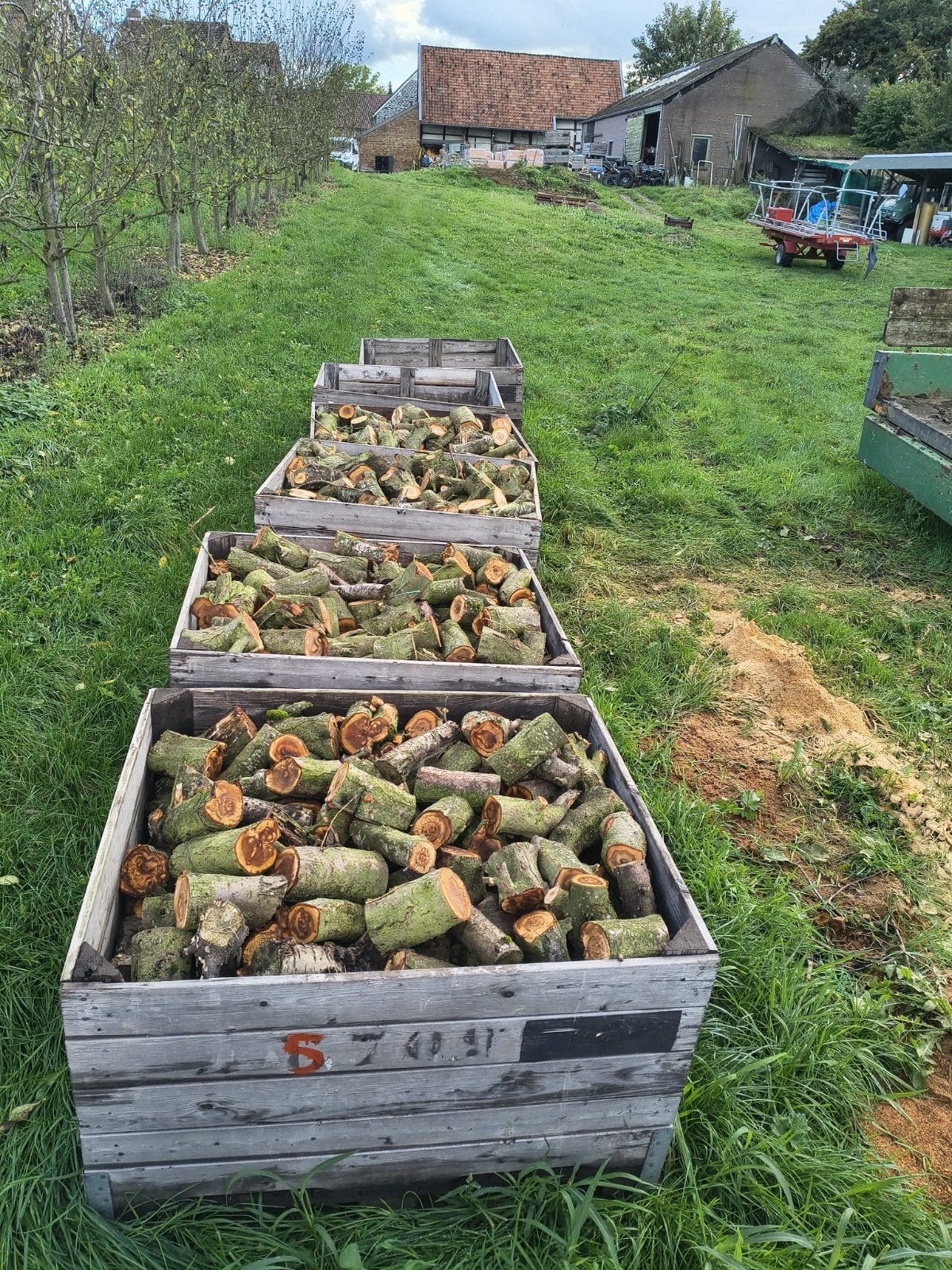 Vers gekapt hout - Ideaal voor brandhout, Minder dan 3 m³, Ophalen, Overige houtsoorten, Blokken