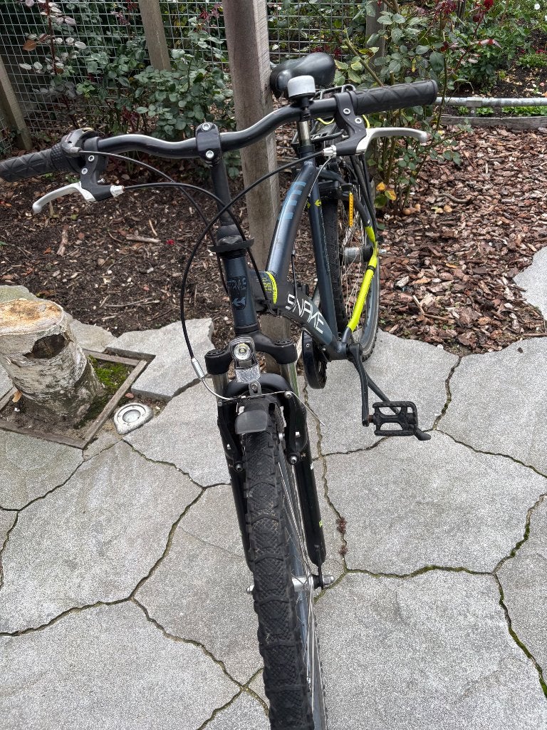 Foto 4 van Batavus Snake 26 inch