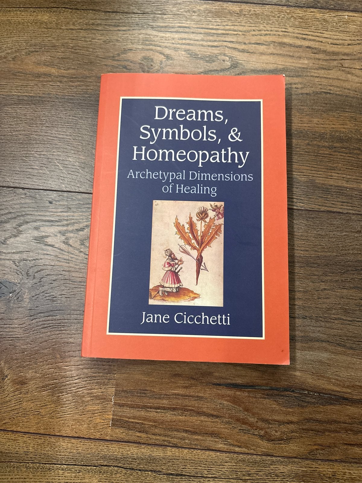 Dreams, Symbols, & Homeopathy - Archetypal Dimensions of Hea, Ophalen of Verzenden, Nieuw, Spiritualiteit algemeen, Achtergrond en Informatie