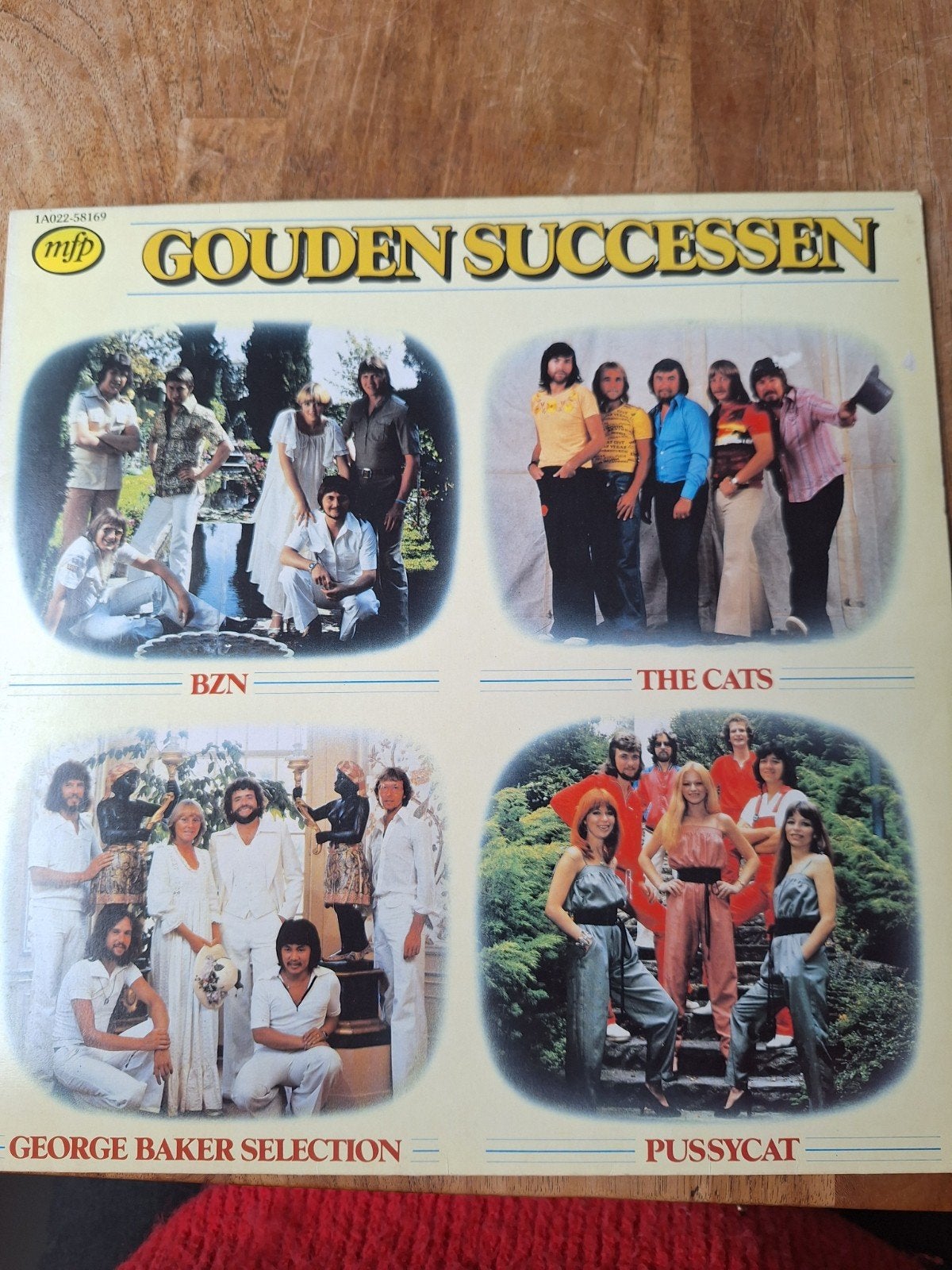 Gouden Successen - 4 Nederlandse bands LP, Cd's en Dvd's, Vinyl | Nederlandstalig, Gebruikt, Ophalen of Verzenden, Complilatie