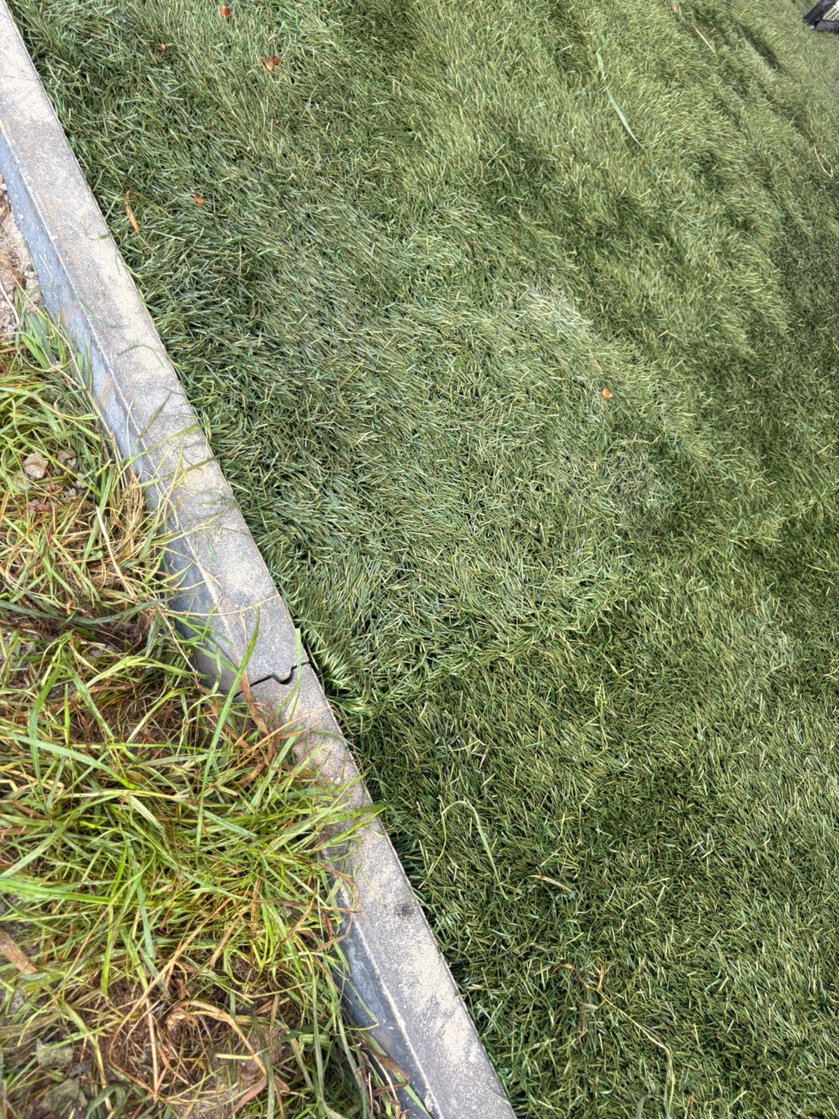 Kunstgras, 4x6,5, Tuin en Terras, Ophalen, Zo goed als nieuw, 20 m² of meer, Kunstgras