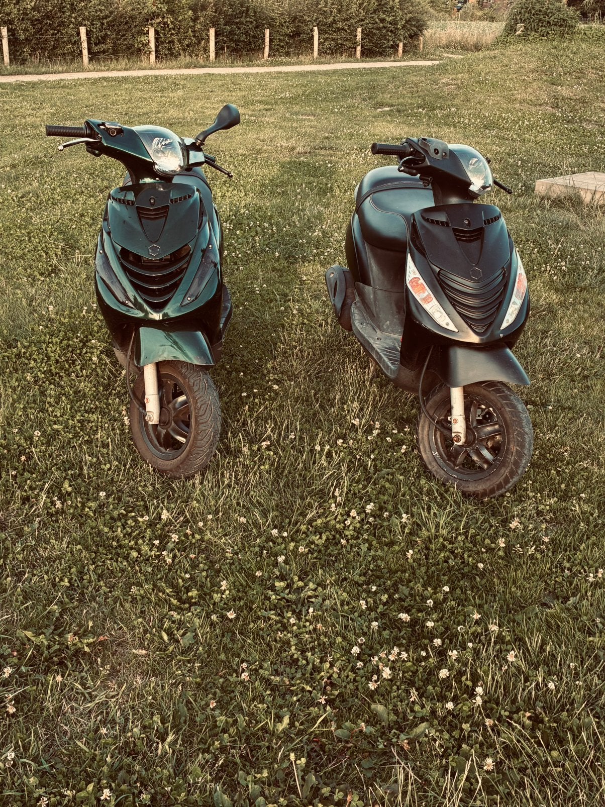 Zip 50cc 4t, Ophalen, Gebruikt, Maximaal 45 km/u, Zip
