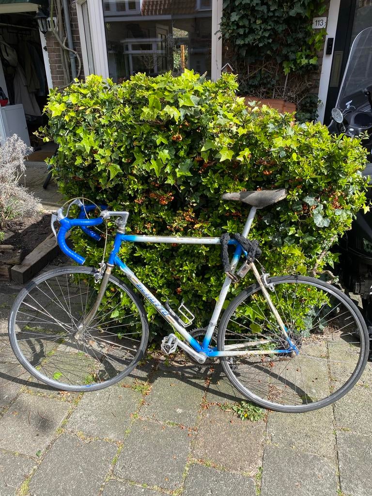 Vintage Benotto Racefiets - Klassieke Stalen Racer, Overige merken, Gebruikt, Staal, Heren