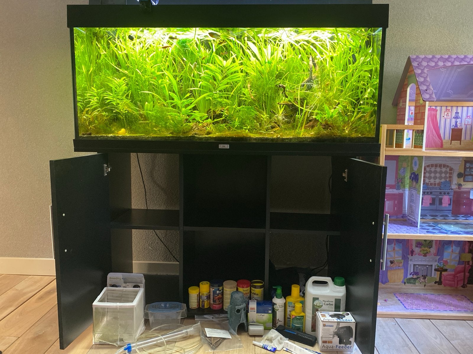 Juwel quarium 240l met vissen planten en toebehoren, Ophalen, Gevuld zoetwateraquarium