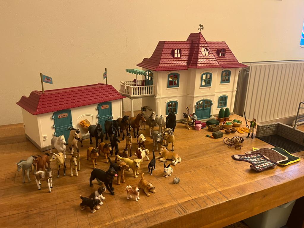 Supergrote set Schleich Horse Club Lakeside, Ophalen of Verzenden, Zo goed als nieuw, Jongen of Meisje