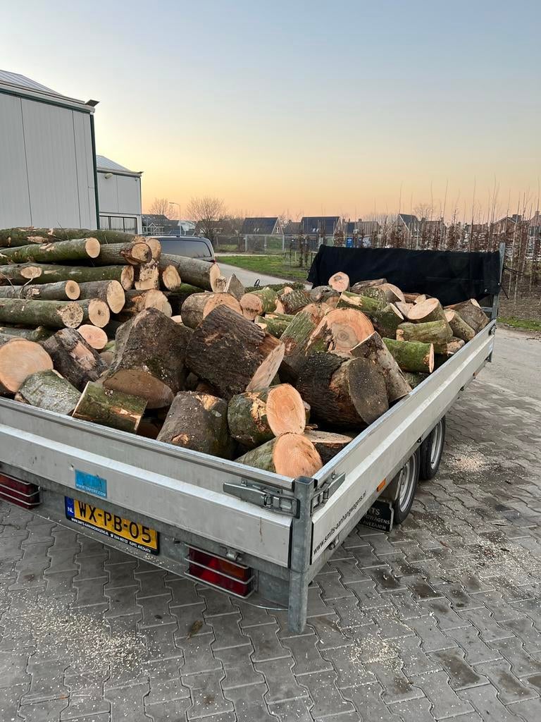 Dikke vacht 4,8 kuub eiken essen haardhout thuisbezorgd, Minder dan 3 m³, Verzenden