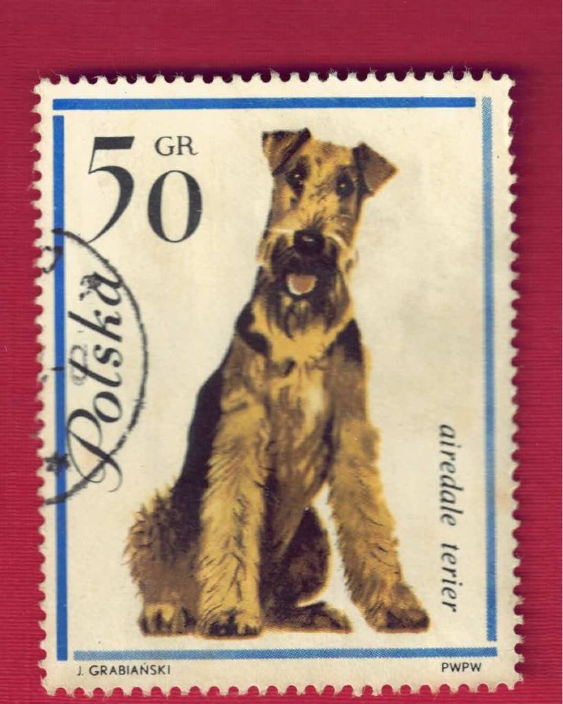 Fauna - Honden - Polen - 50 gr - Airdale-Terrier - gebr, Ophalen of Verzenden, Gestempeld, Dier of Natuur