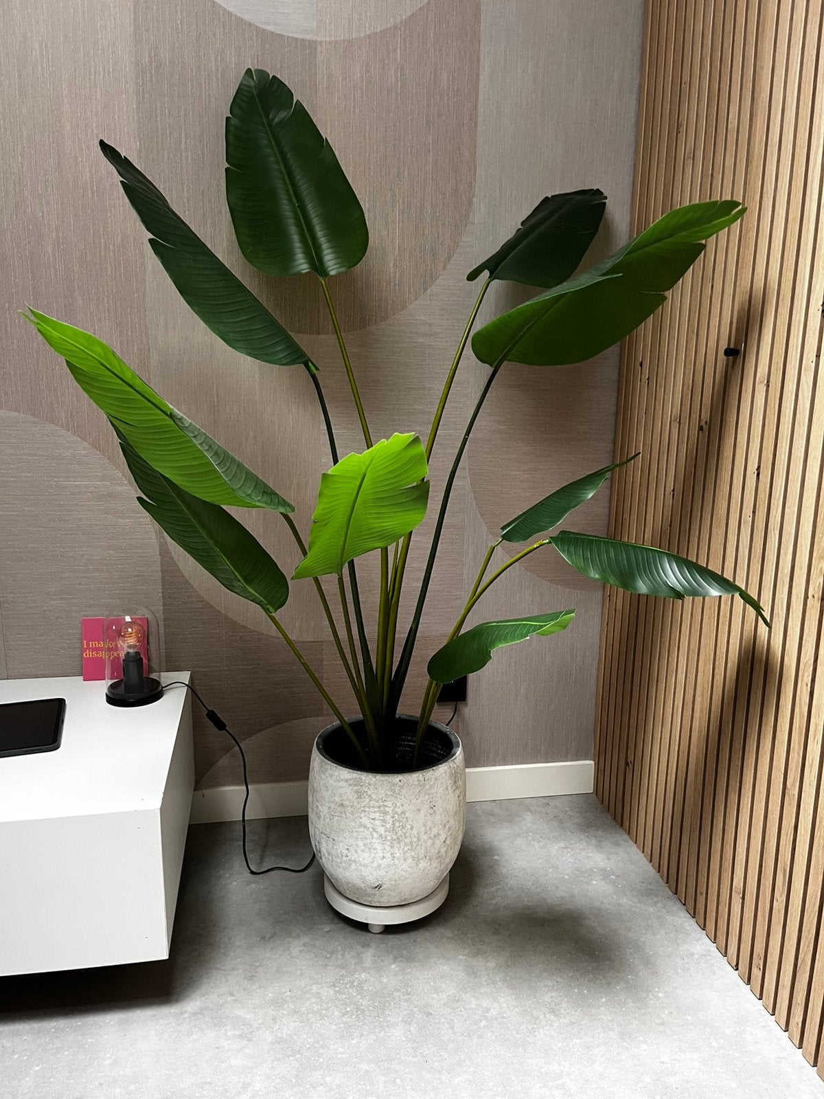 Kunstplant Fejka Ikea, Ophalen