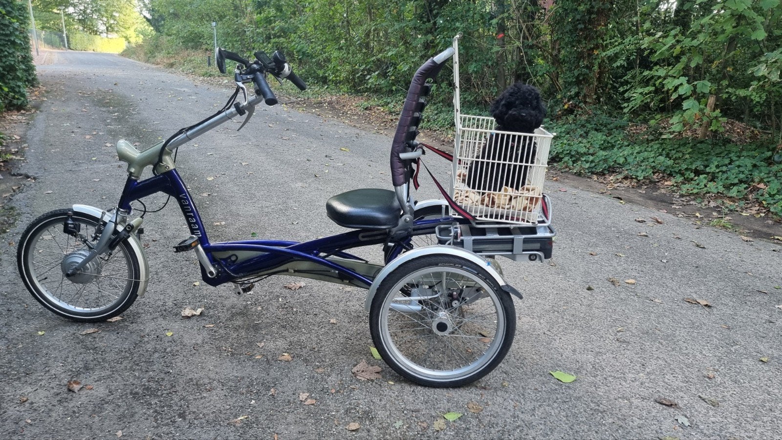 electrische driewielfiets / driewieler (van Raam), Fietsen en Brommers, Ophalen, Zo goed als nieuw, Van Raam