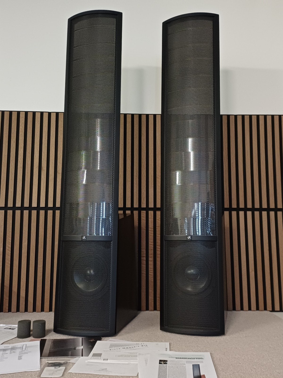 Martin Logan ESL Vista Elektrostaten Luidsprekers, Audio, Tv en Foto, Vloerstaande luidspreker, Ophalen of Verzenden, Zo goed als nieuw