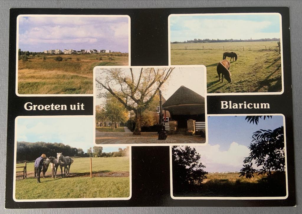 Groeten uit Blaricum - Erfgooyersboom met Warandabergen, Verzenden, 1980 tot heden, Ongelopen, Noord-Holland