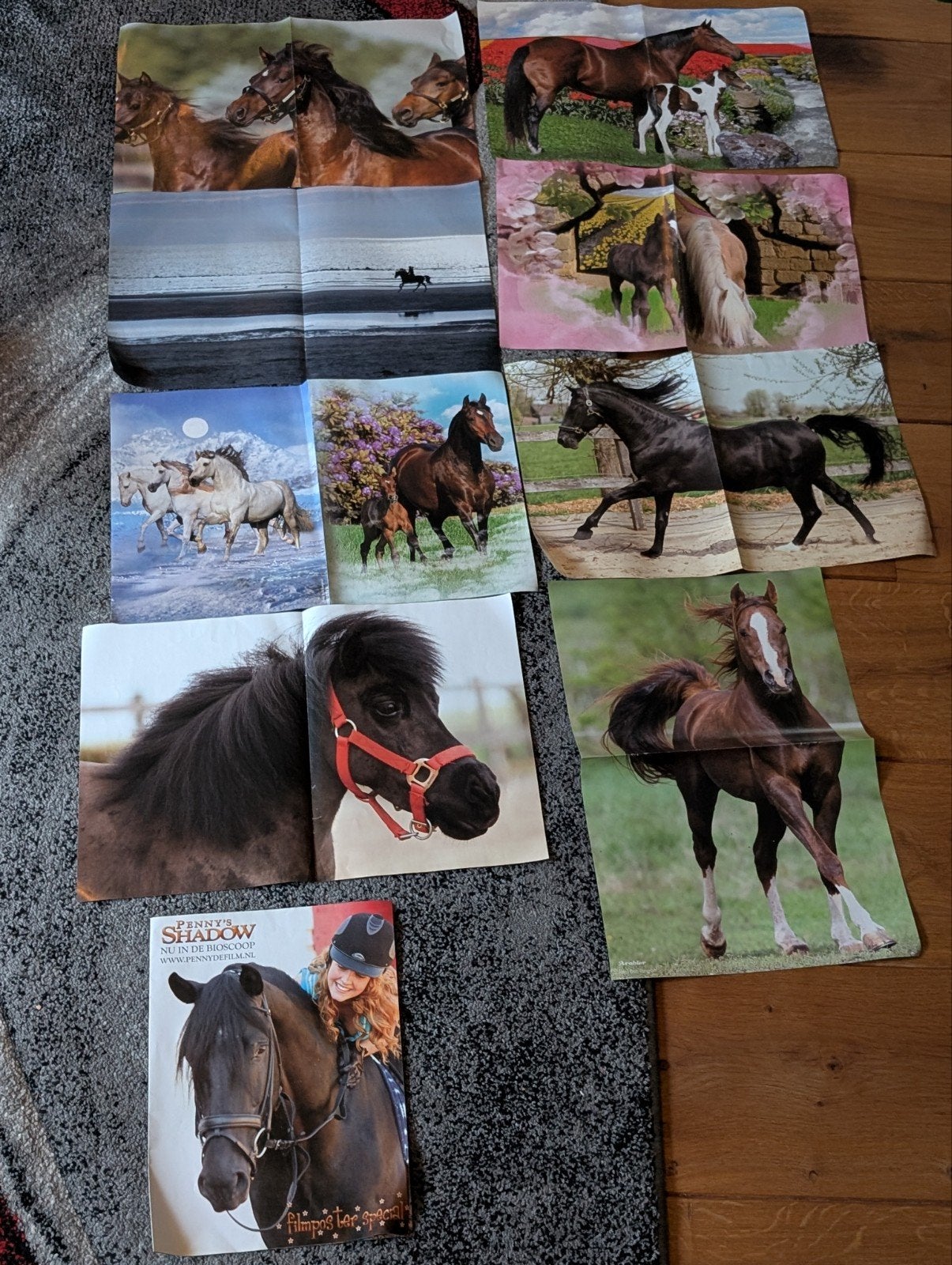 Grote collectie posters van paarden en artiesten, Ophalen, A1 t/m A3, Dier of Natuur, Rechthoekig Staand