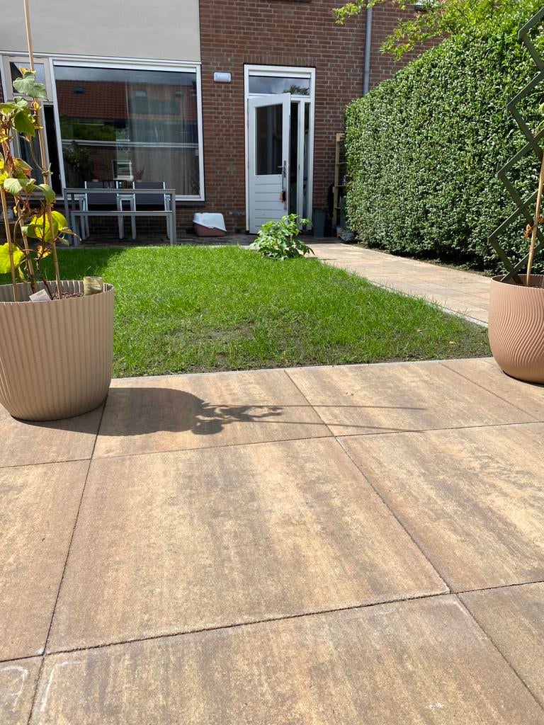 Hovenier & Grondverzet Breda | Erfverharding & Rijpaden, Tuinonderhoud of Snoeiwerk