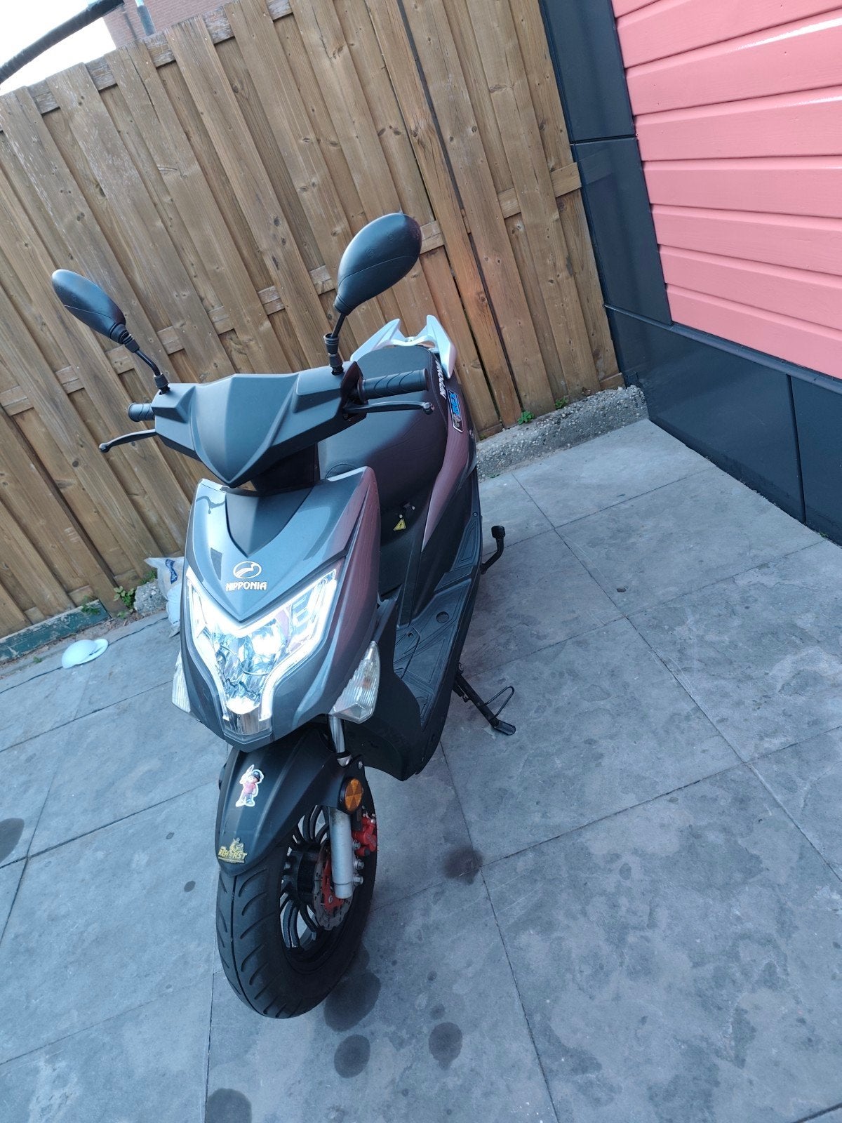 Nipponia E-Rex Elektrische Scooter - 40+ km actieradius, Ophalen of Verzenden, Overige typen, Overige merken