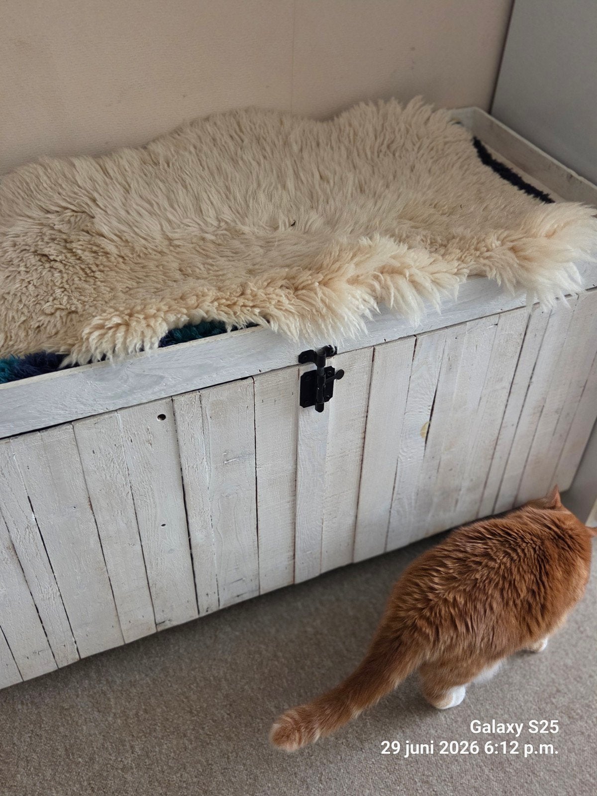 Kattenhuis, Ophalen, Gebruikt, Krabmeubel-onderdelen