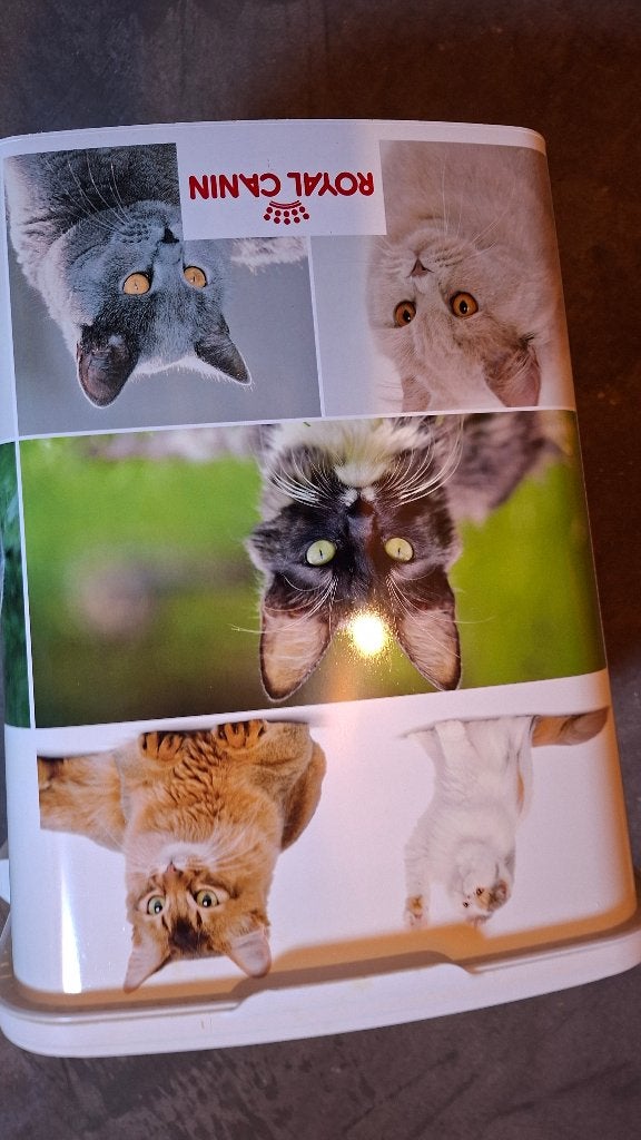 Voerton, Ophalen, Kat