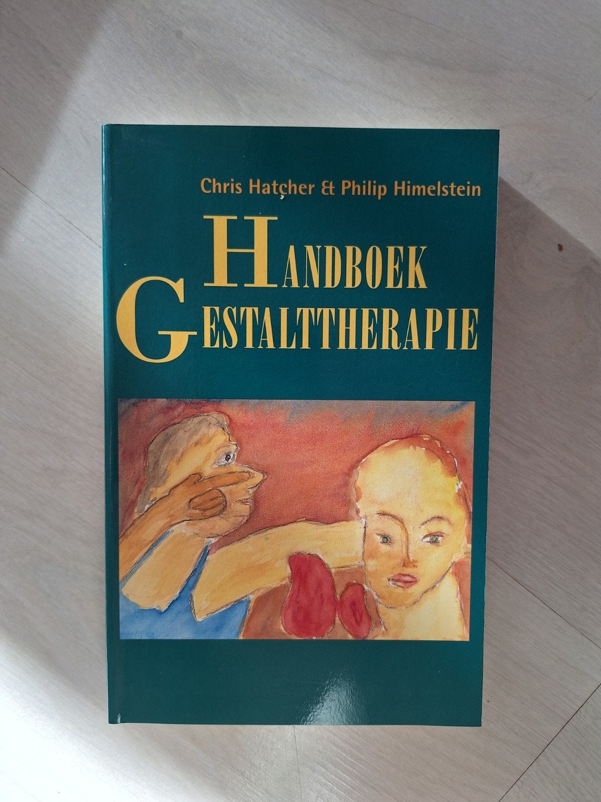 Handboek Gestalttherapie - Hatcher & Himelstein, Boeken, Ophalen of Verzenden, Gelezen, Overige onderwerpen, Chris Hatcher & Philip Himelstein