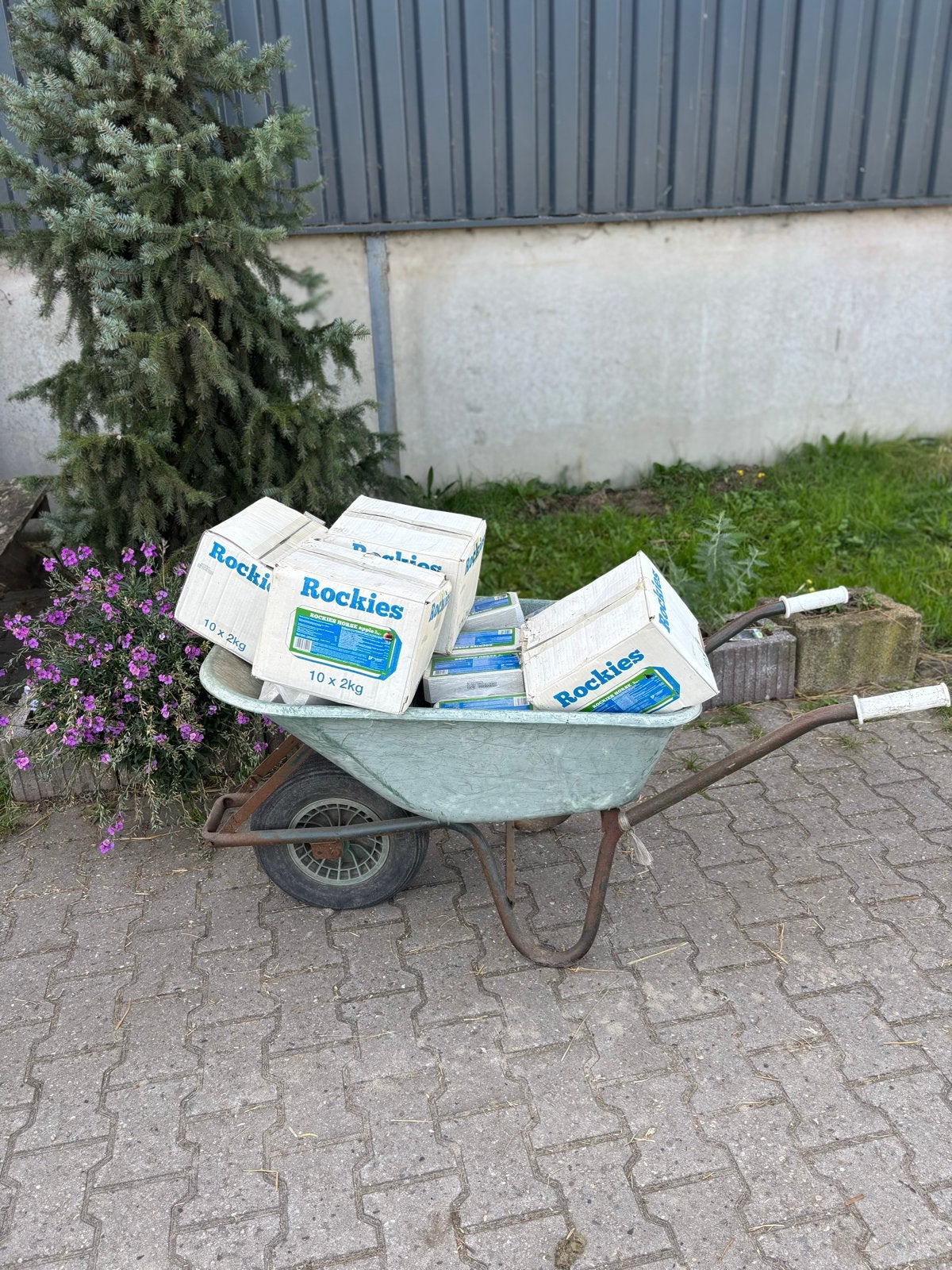 Partij Rockies 70 liksteen paarden appel en naturel, Ophalen, Nieuw