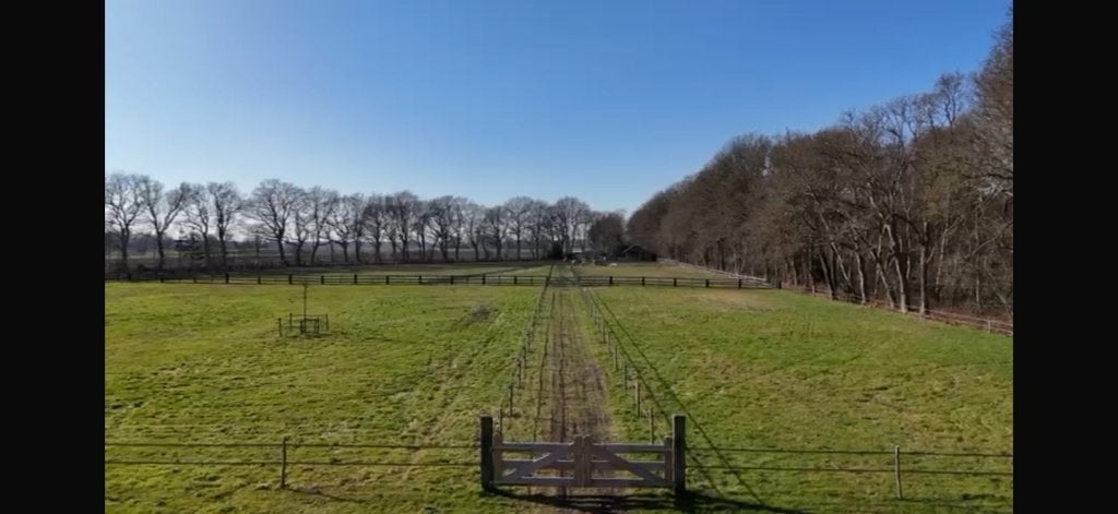 Unieke paardenlocaite te huur Assen / Taarlo, Dieren en Toebehoren, Weidegang, 4 paarden of pony's of meer