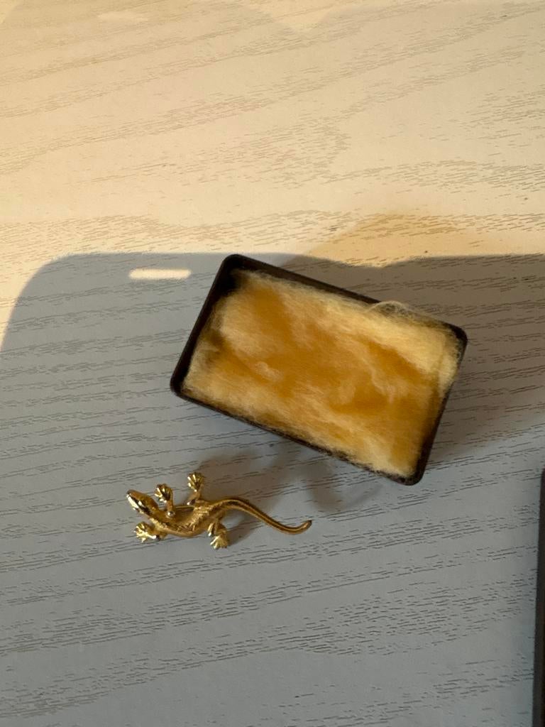 Mooie goudkleurige hagedis broche, Sieraden, Tassen en Uiterlijk, Broches, Overige materialen, 4 tot 7 cm, Gebruikt, Verzenden