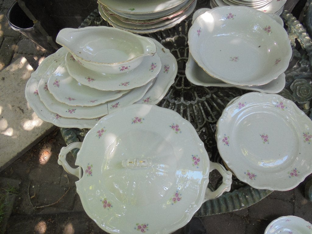 Deel servies P T Tielsch Walbrzych met zacht roze roosjes, Ophalen of Verzenden