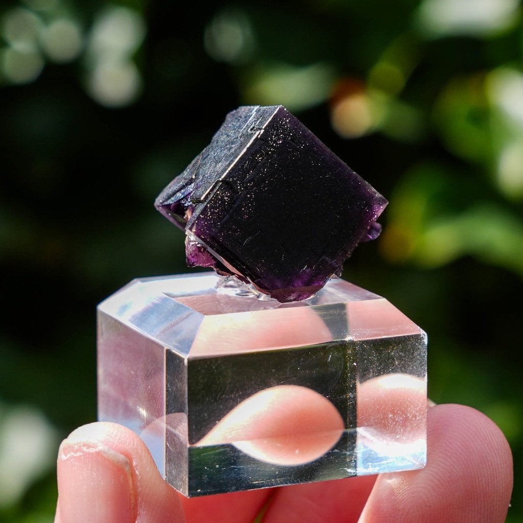 Fluoriet uit Weisseck, Gipfelkluft #1, Verzamelen, Ophalen of Verzenden, Mineraal