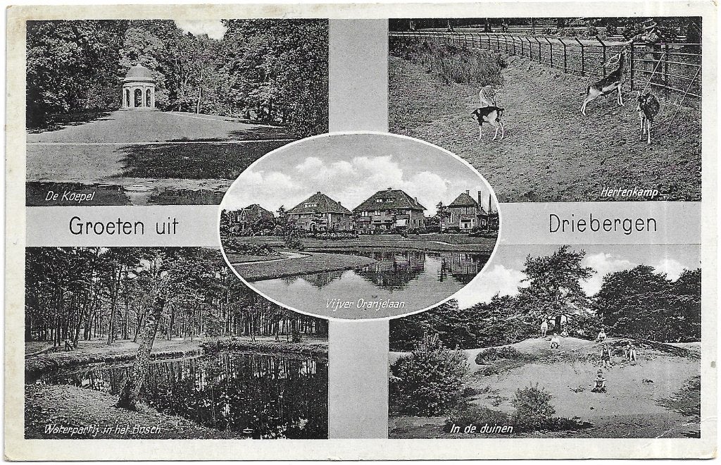 AK Driebergen - Groeten uit....Vijver Oranjelaan, Verzenden, 1940 tot 1960, Gelopen, Utrecht