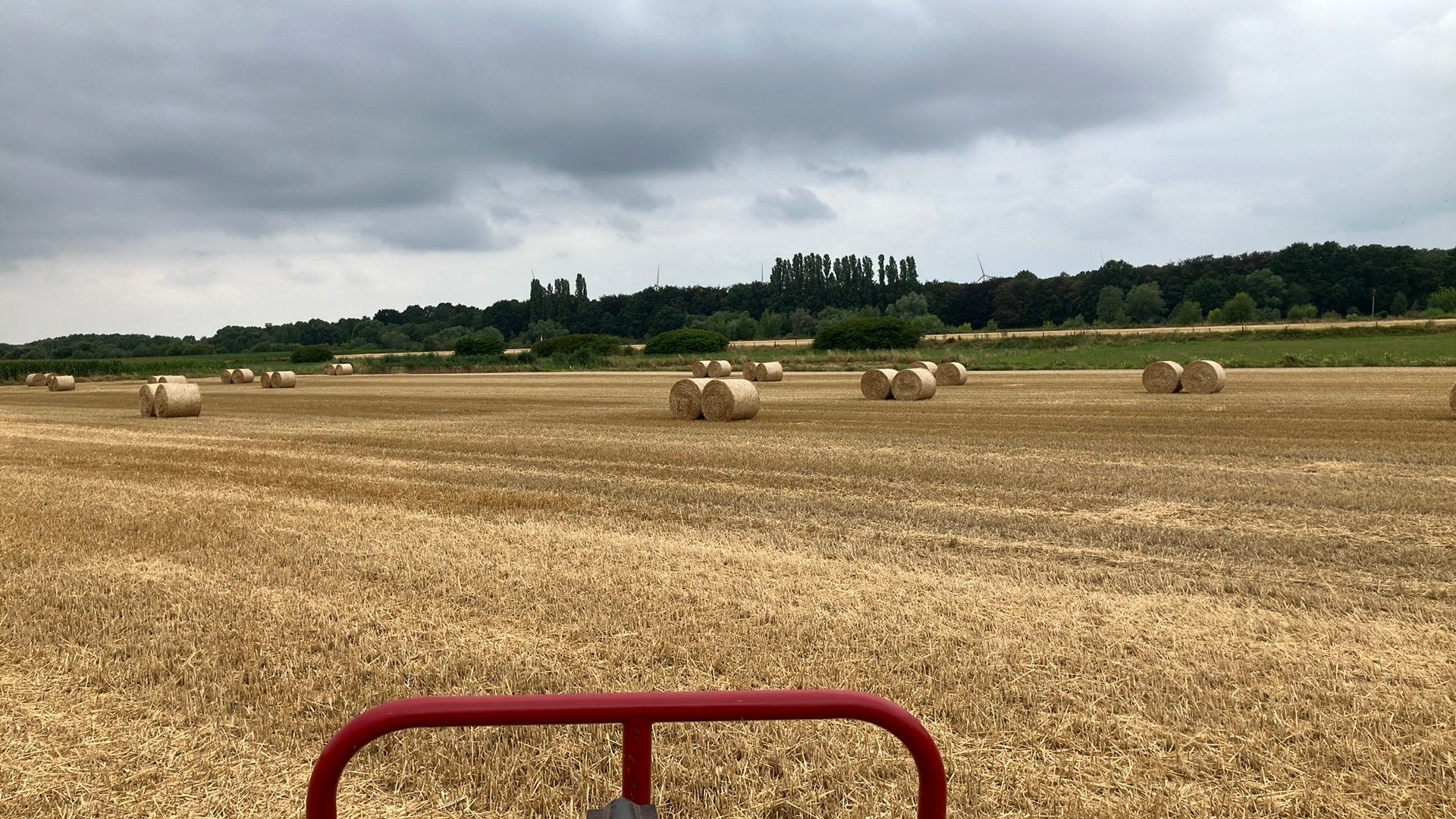 Tarwestro, Dieren en Toebehoren, Stalling en Weidegang