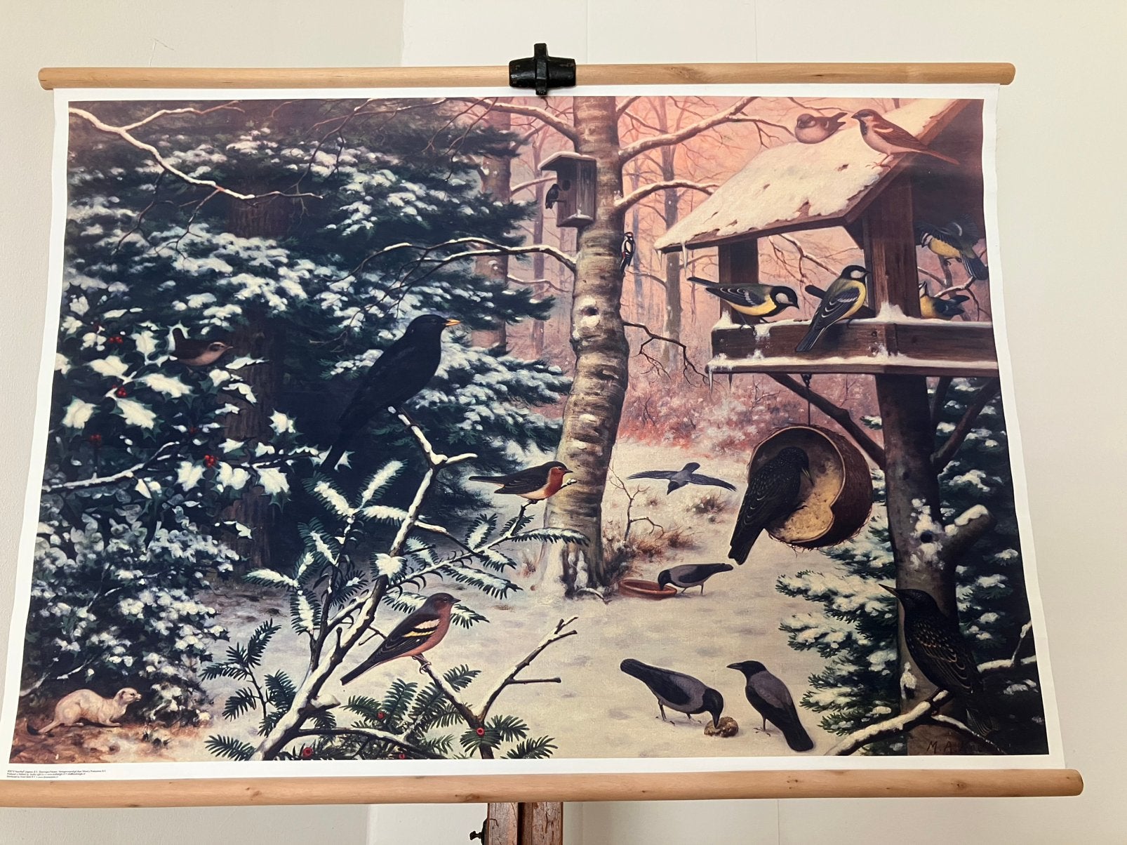 Schoolkaart Vogels in de winter, Antiek en Kunst, Antiek | Schoolplaten, Ophalen of Verzenden, Natuur en Biologie