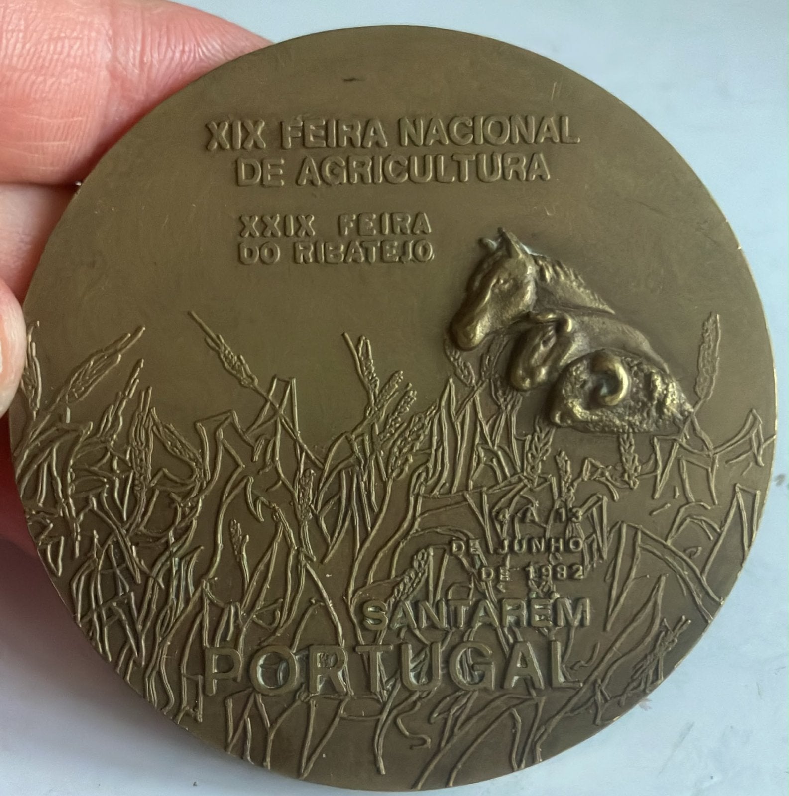 Bronzen medaille XIX Feira Nacional de Agricultura 1982, Verzenden, Brons, Buitenland