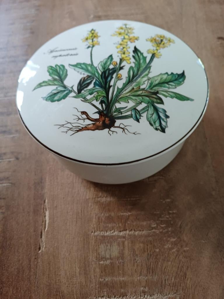 Villeroy en Boch botanica, Ophalen of Verzenden